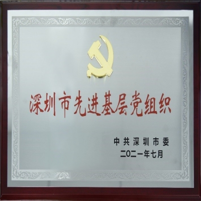 百年華誕，喜獲殊榮——國微電子黨總支榮獲“深圳市先進基層黨組織”稱號